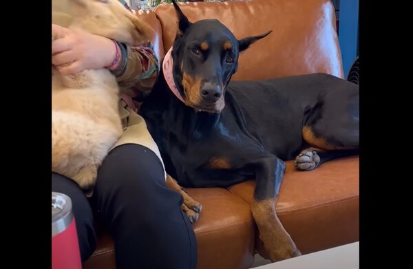 유튜브 채널 '하트똥꼬로만' 운영자가 누리꾼 신상털기로 비판을 받고 공개사과했다. photo 유튜브 캡처