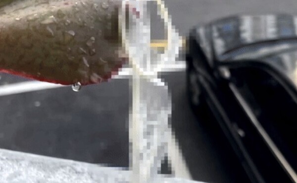 JTBC '사건반장'에 위층에서 던진 것으로 추정되는 피임 도구 등 쓰레기에 고민하는 제보자의 사연이 공개됐다. photo 유튜브 캡처