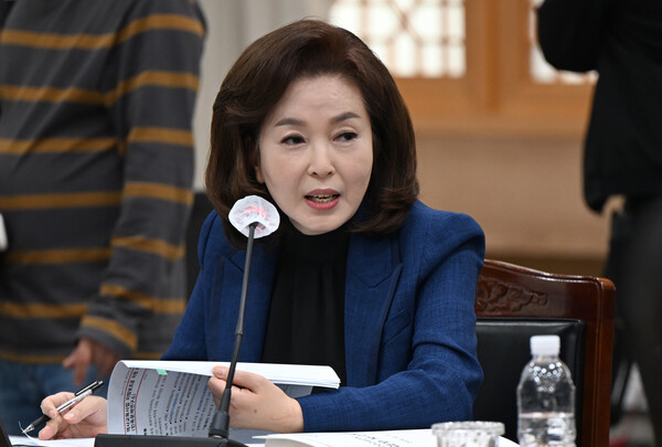 김민전 국민의힘 최고위원. photo 뉴시스