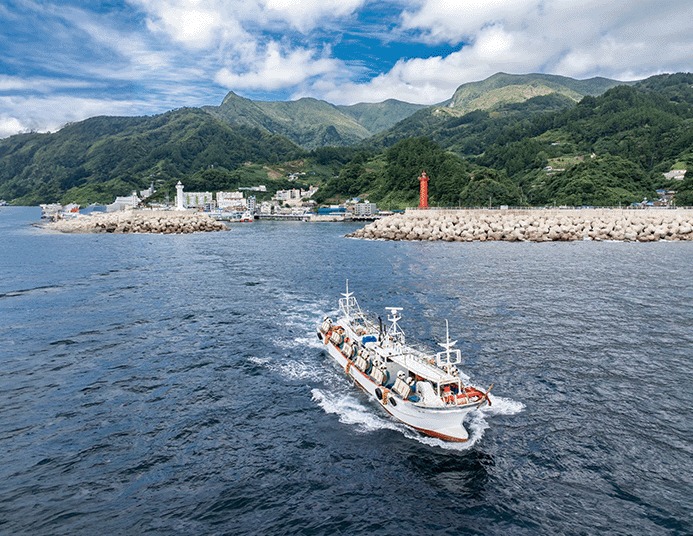 저동항서 출항하는 오징어잡이 배 경북 울릉군 저동항에서 오징어잡이 배 한 척이 출항하고 있다. photo 조선일보