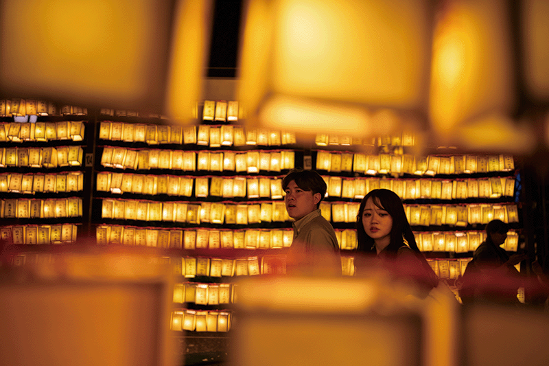 지난 8월 16일 일본 도쿄 야스쿠니 신사에서 미타마 마쓰리가 열린 가운데 방문객들이 노란색 등불 사이를 지나고 있다. 1947년 전몰자 추모를 위해 시작된 미타마 마쓰리는 야스쿠니 신사에서 해마다 열리는 여름 축제다. photo 뉴시스·AP