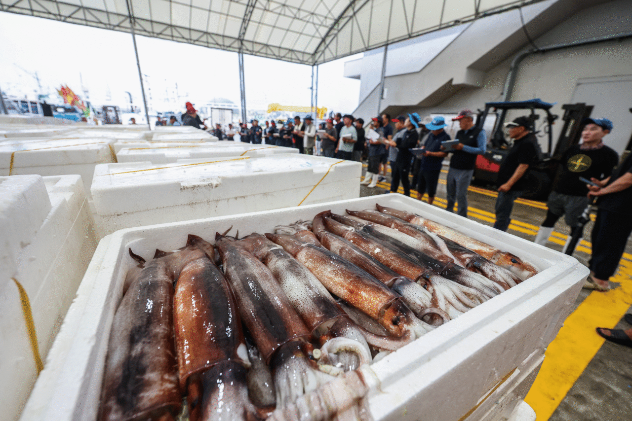 photo 주민욱 영상미디어 기자