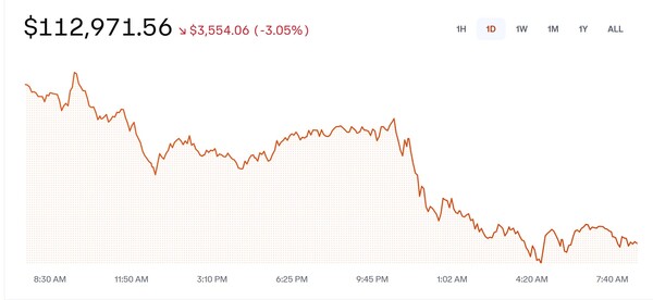 20일, 미국 가상자산 거래소 코인베이스에서 비트코인이 11만3000달러 선에서 거래되고 있다. photo 코인베이스 캡처