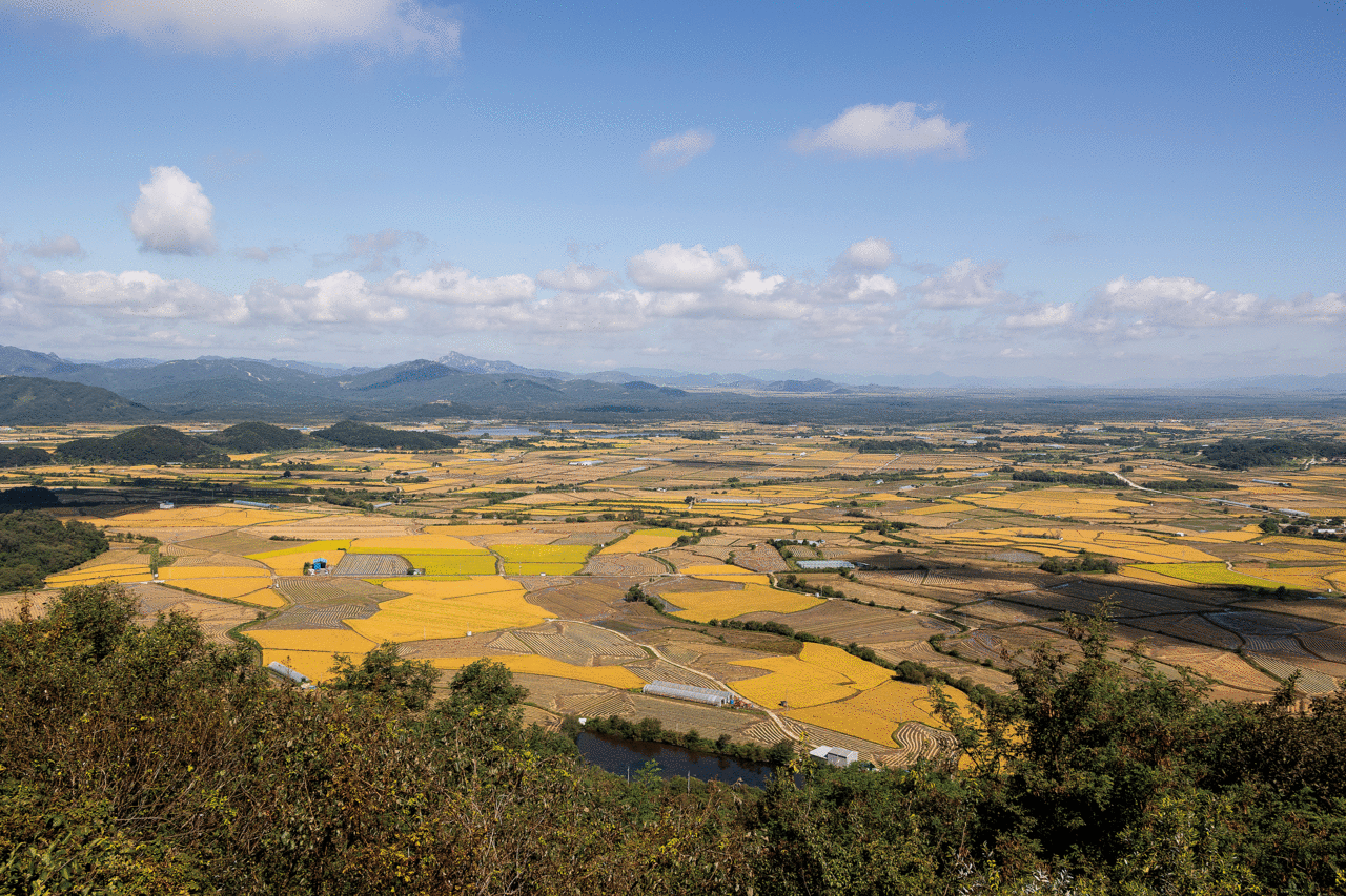 photo 이경호 영상미디어 기자