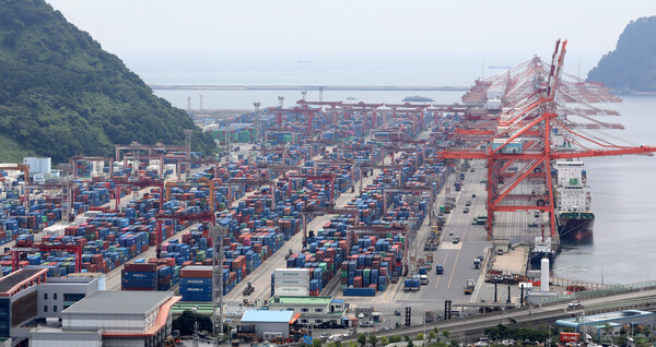 지난 8월 부산 남구 부산항 신선대부두 야적장에 컨테이너가 가득 쌓여 있다. photo 뉴스1