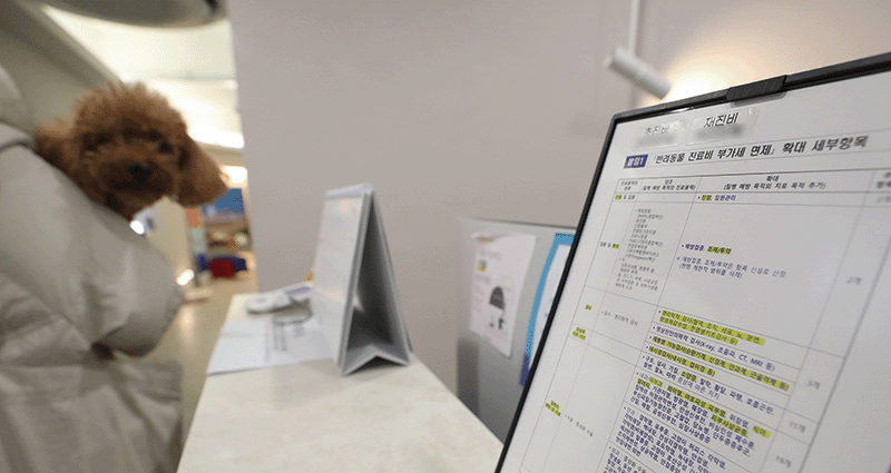 서울시내 한 동물병원. photo 뉴시스