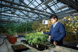 '유전자 편집 기술'로 80억 밥상물가 잡는다 - 뉴스 썸네일 이미지