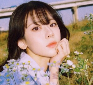 주간조선 보도 썸네일 이미지