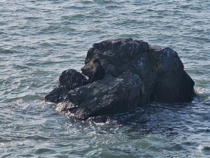 낮잠 중 안전사고 관련 이미지